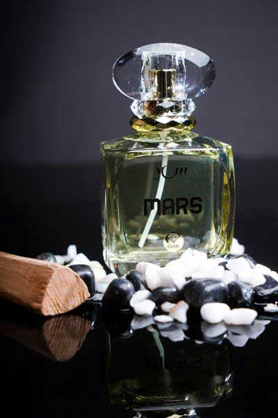 Musk & Woody fragrance perfume